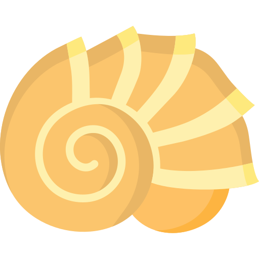 schelp Special Flat icoon