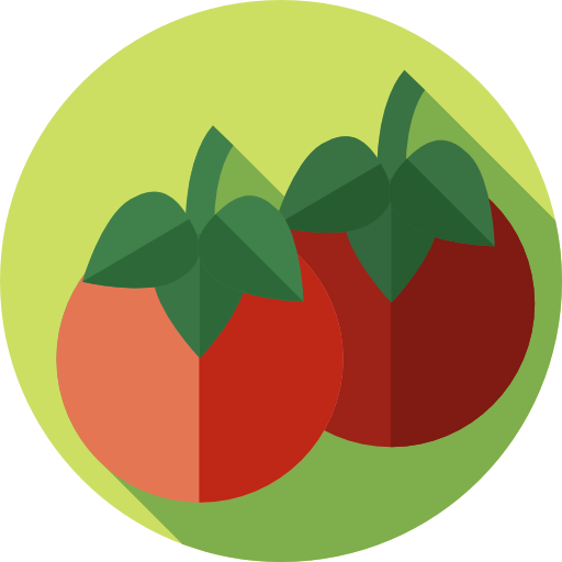 tomate Flat Circular Flat icono