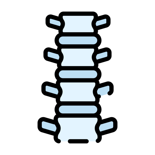 colonna vertebrale Good Ware Lineal Color icona