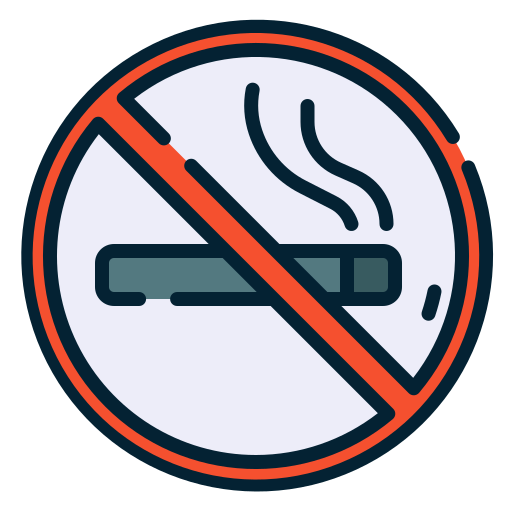 rauchen verboten Good Ware Lineal Color icon