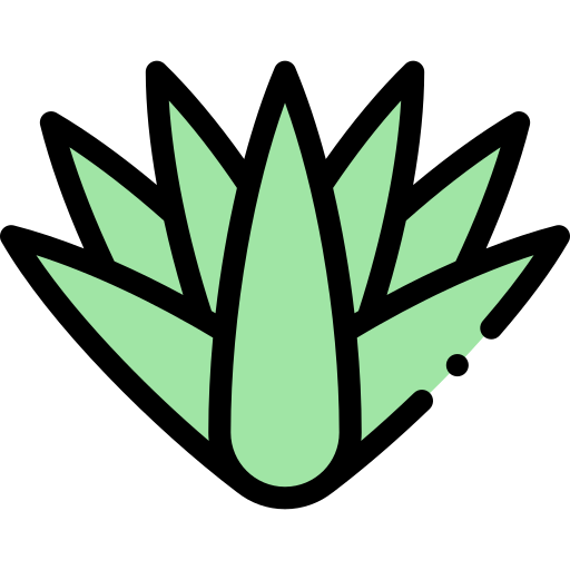 agave Detailed Rounded Lineal color icon