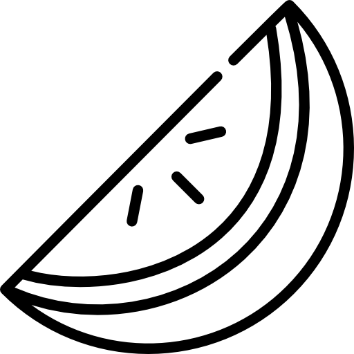Watermelon Special Lineal icon