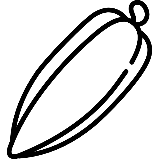 Pepper Special Lineal icon