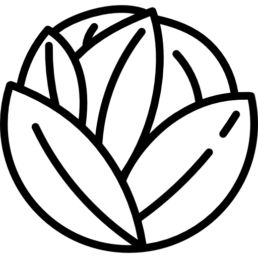 レタス Special Lineal icon