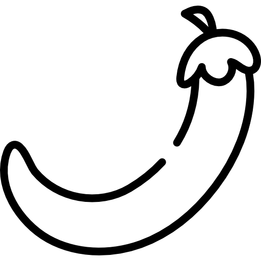 칠레 고추 Special Lineal icon