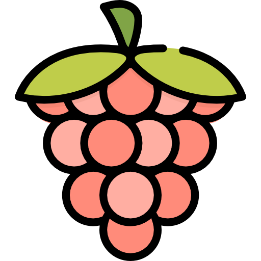 Raspberry Special Lineal color icon