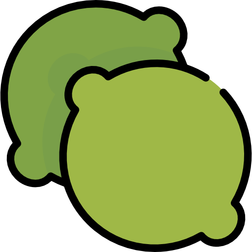 Lime Special Lineal color icon