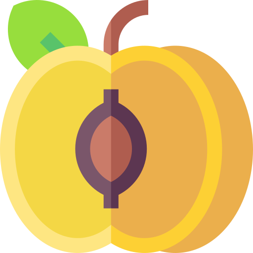 Apricot Basic Straight Flat icon