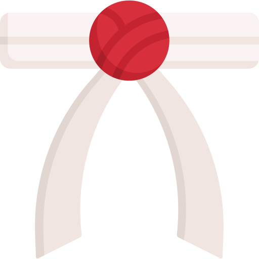 Headband Special Flat icon