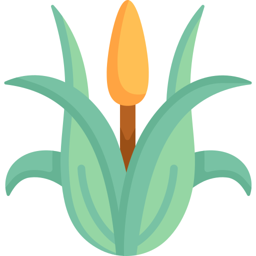 maïs Special Flat icoon
