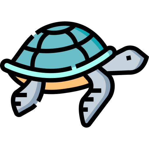 meeresschildkröte Detailed Straight Lineal color icon