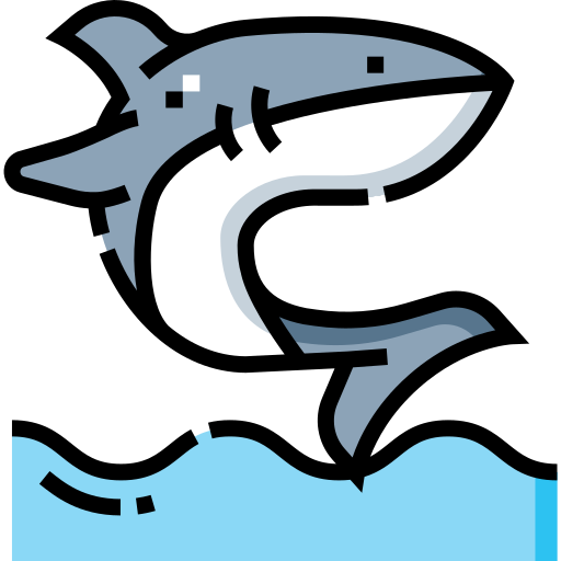 Shark Detailed Straight Lineal color icon