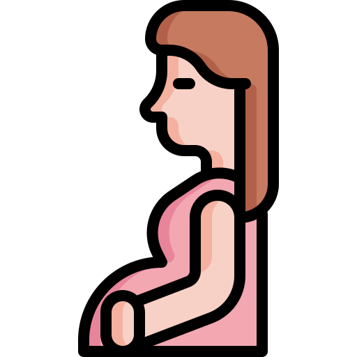 gravidez Generic Outline Color Ícone