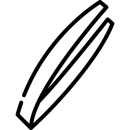 생선뼈 Special Lineal icon