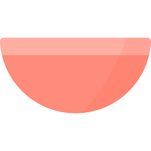 Bowl Special Flat icon
