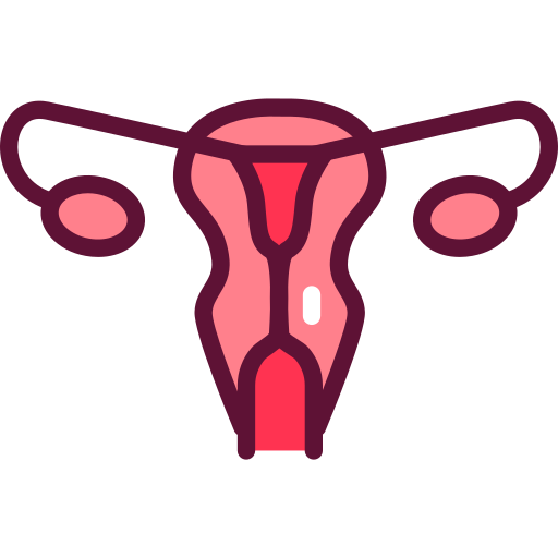 Gynecology Generic Outline Color icon