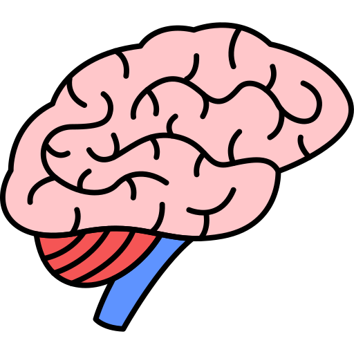 organo humano Generic Outline Color icono