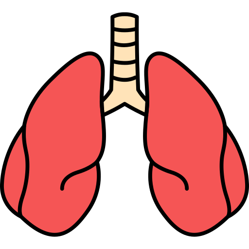 organo umano Generic Outline Color icona