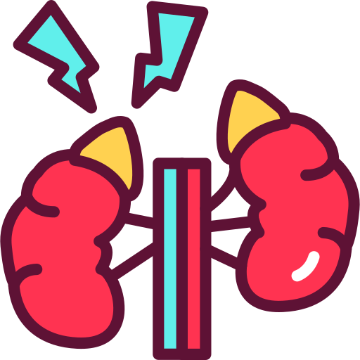 Endocrinology Generic Outline Color icon