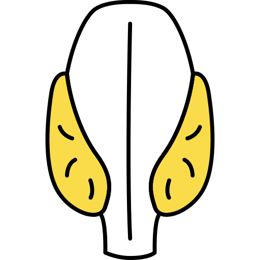 인간 장기 Generic Outline Color icon