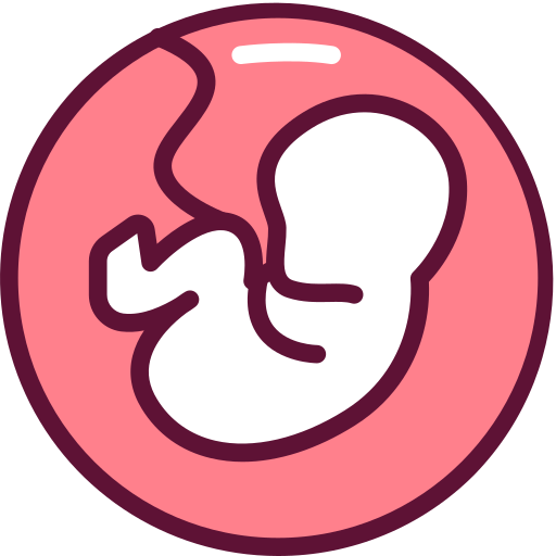 embrião Generic Outline Color Ícone