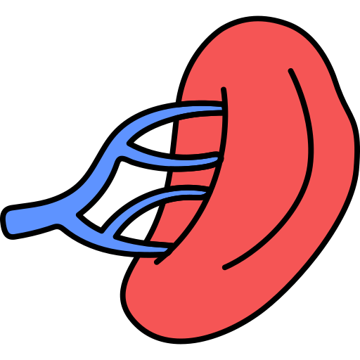 organo umano Generic Outline Color icona