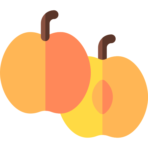 Apricot Basic Rounded Flat icon