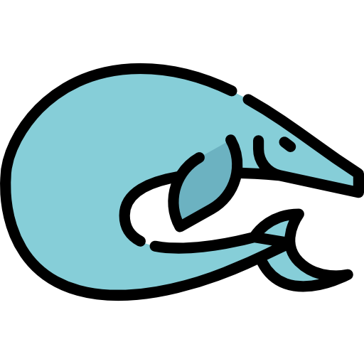 basilosaurus Special Lineal color icon