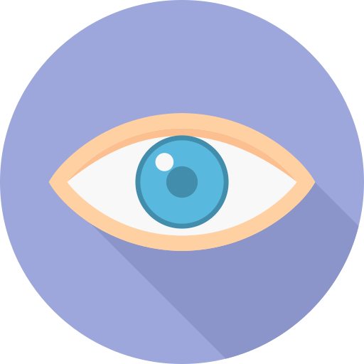 Eye Icon monk Flat icon