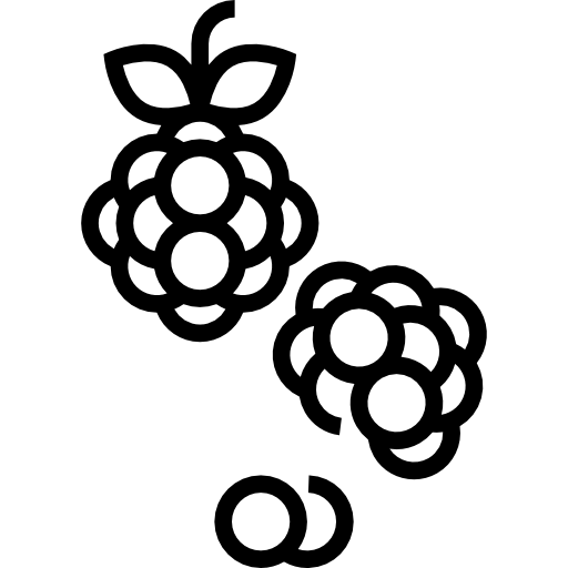 산딸기 Detailed Straight Lineal icon