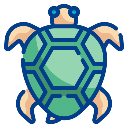 tartaruga Wanicon Lineal Color icona