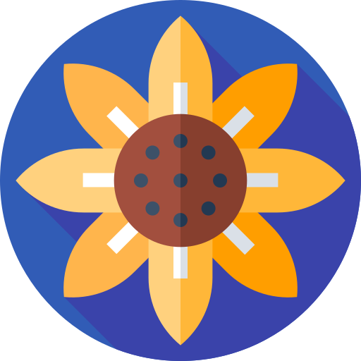 sonnenblume Flat Circular Flat icon