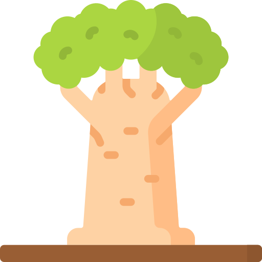 baobab Special Flat ikona
