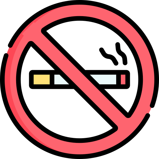 No smoking Special Lineal color icon
