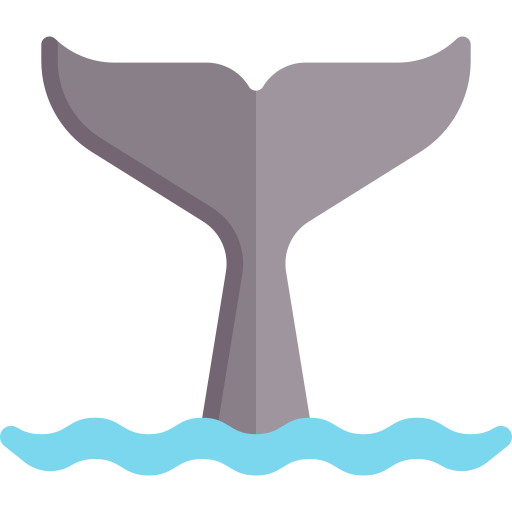 ballena Special Flat icono
