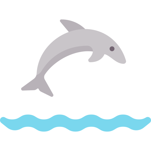 Dolphin Special Flat icon