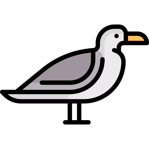 Seagull Special Lineal color icon