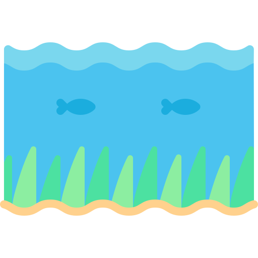 Seaweed Special Flat icon