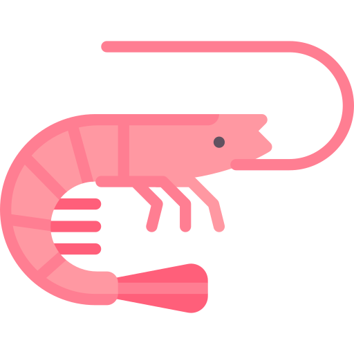 Shrimp Special Flat icon