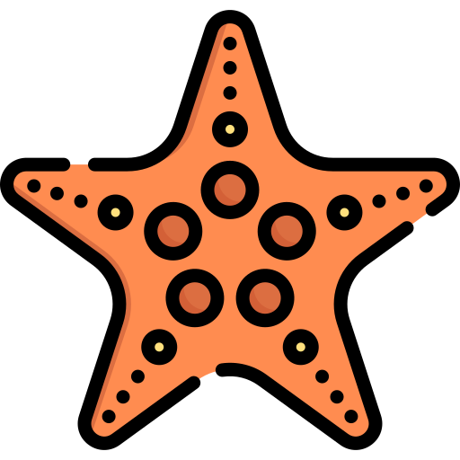 Морская звезда Special Lineal color иконка