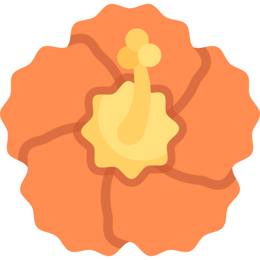 Hibiscus Special Flat icon