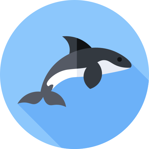 Killer whale Flat Circular Flat icon