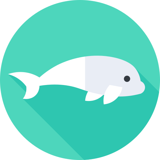 beluga Flat Circular Flat icona