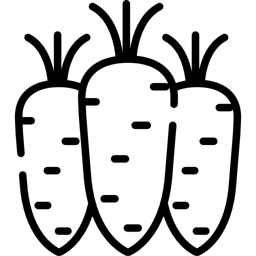 Морковь Special Lineal иконка