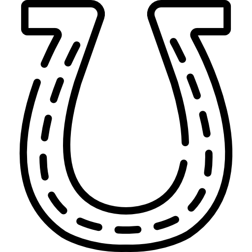 Horseshoe Special Lineal icon