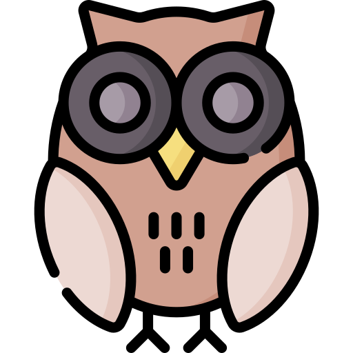 Owl Special Lineal color icon