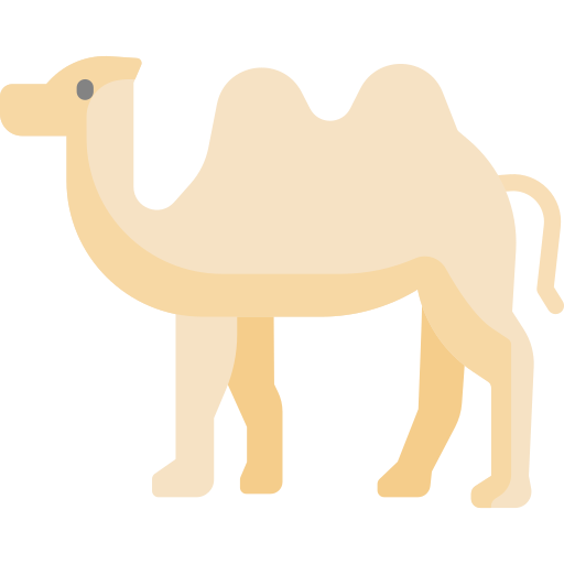 camello Special Flat icono