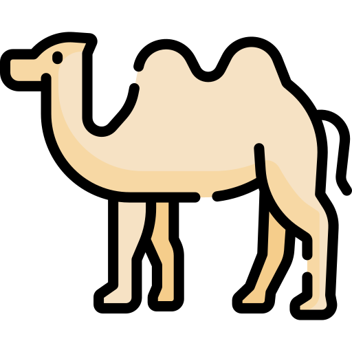 Camel Special Lineal color icon
