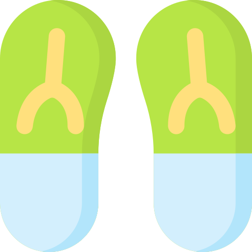 Flip flops Special Flat icon