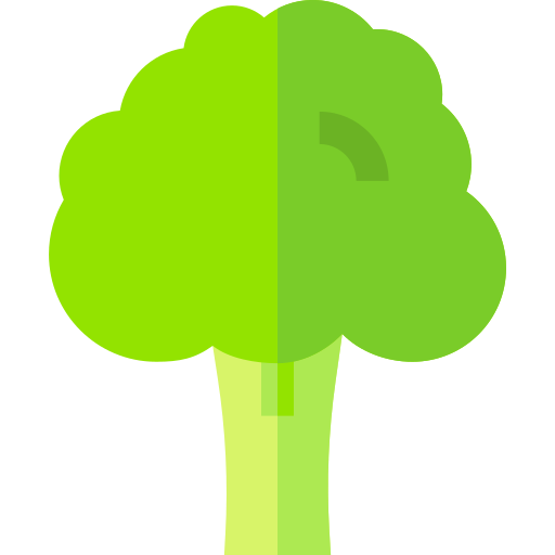 Broccoli Basic Straight Flat icon